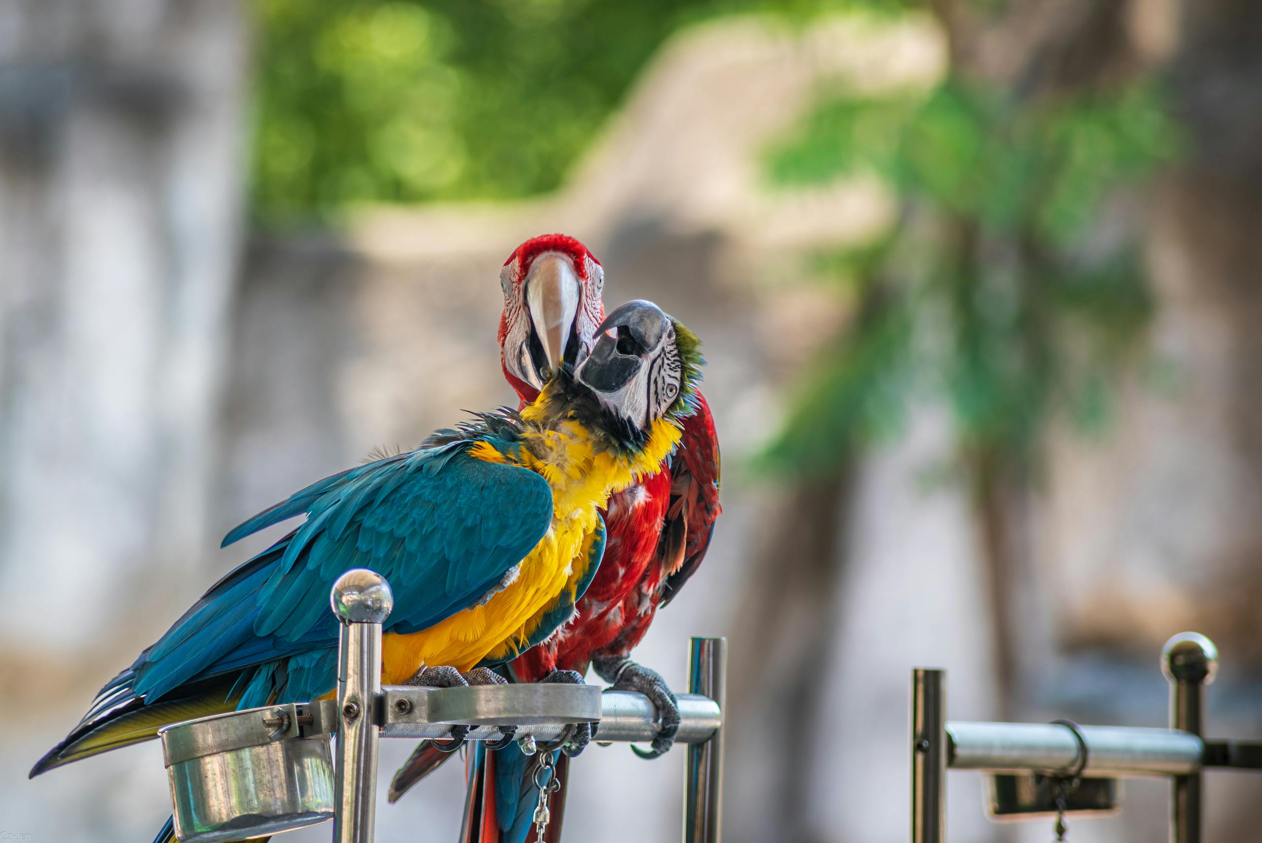 Игрушки в подарок