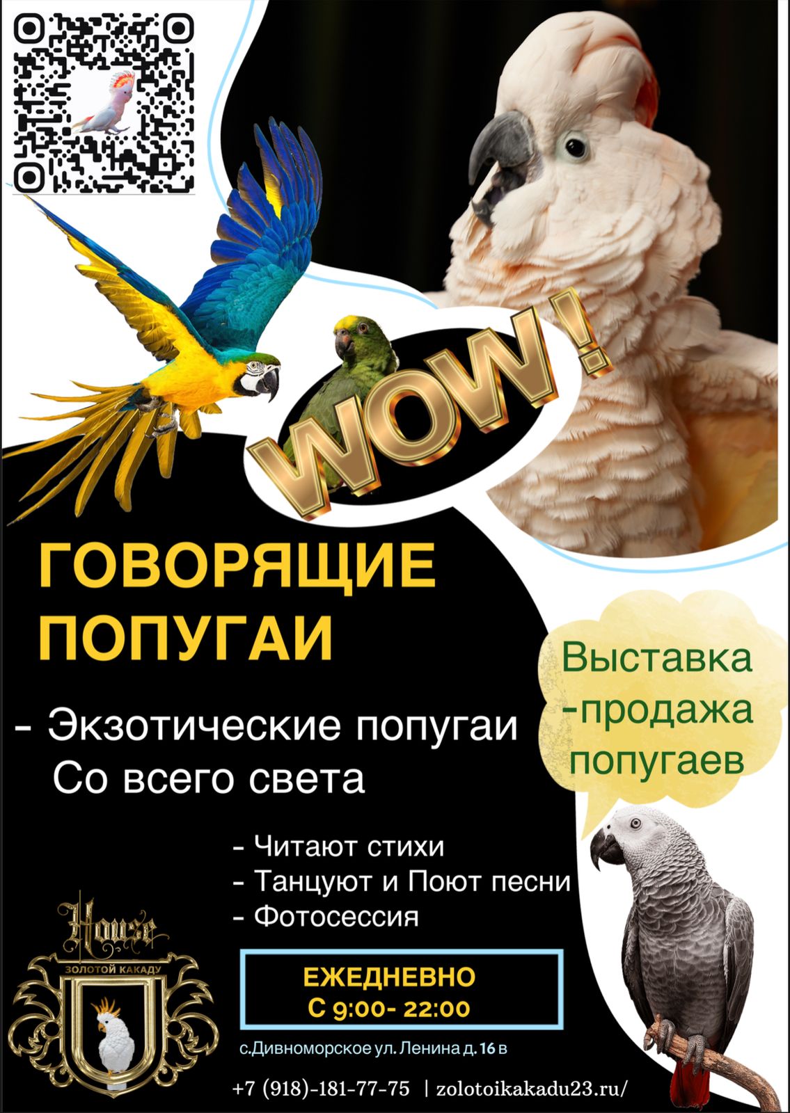 флаер