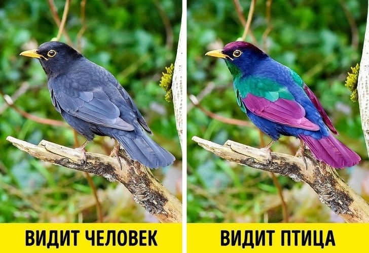 Image title