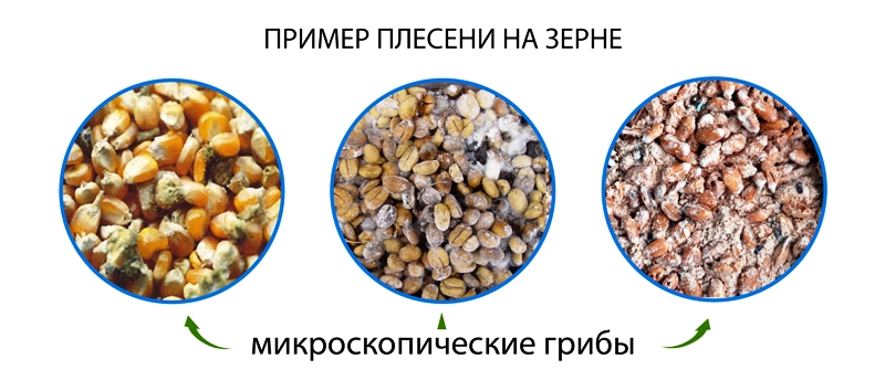 Image title
