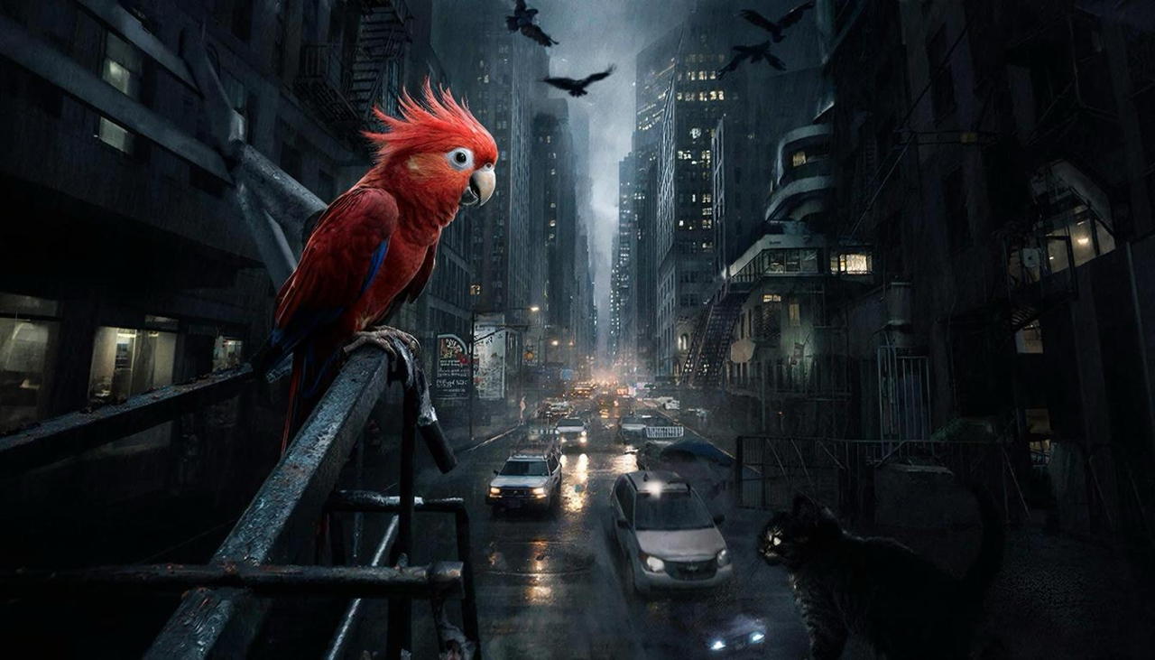 попугай улетел