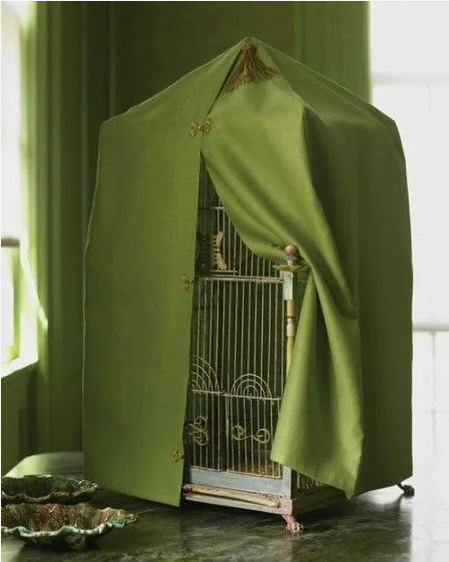 Клетка с попугаем накрытая тканью для сна