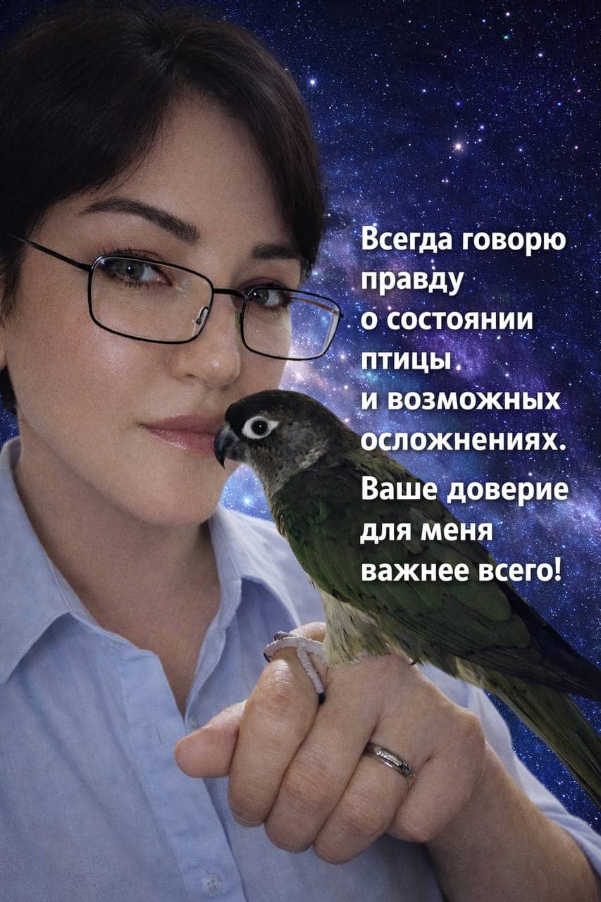 Анастасия Евгеньевна — руководитель отдела Золотой Какаду Online