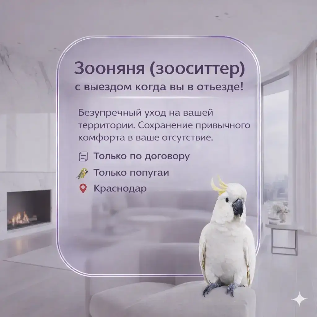 Зооняня для попугаев в Краснодаре